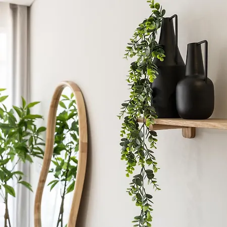 Water Lily Апартаменты *