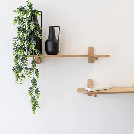 Water Lily Apartmán