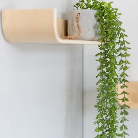 Water Lily Апартаменты