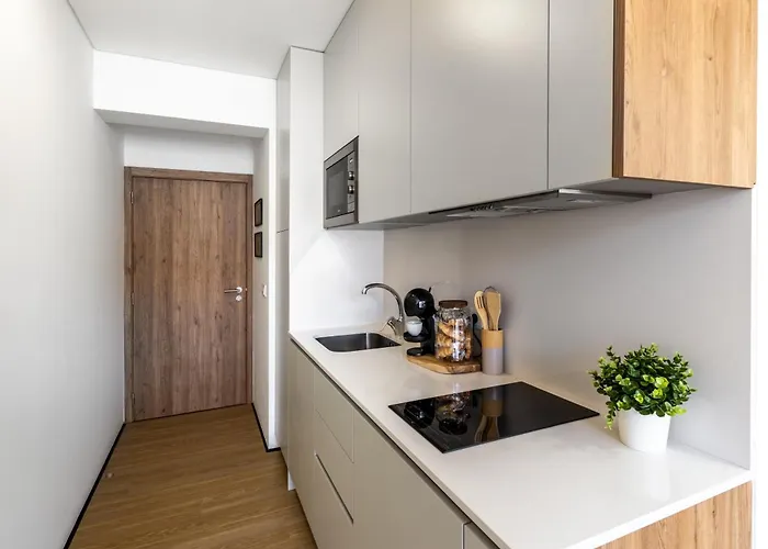 Water Lily Apartament Aveiro