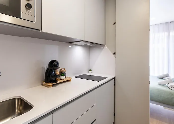 Water Lily Apartament Aveiro